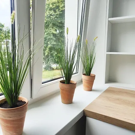 My Favorite Flat Apartament *