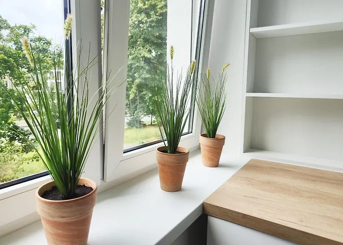 My Favorite Flat Apartamento *